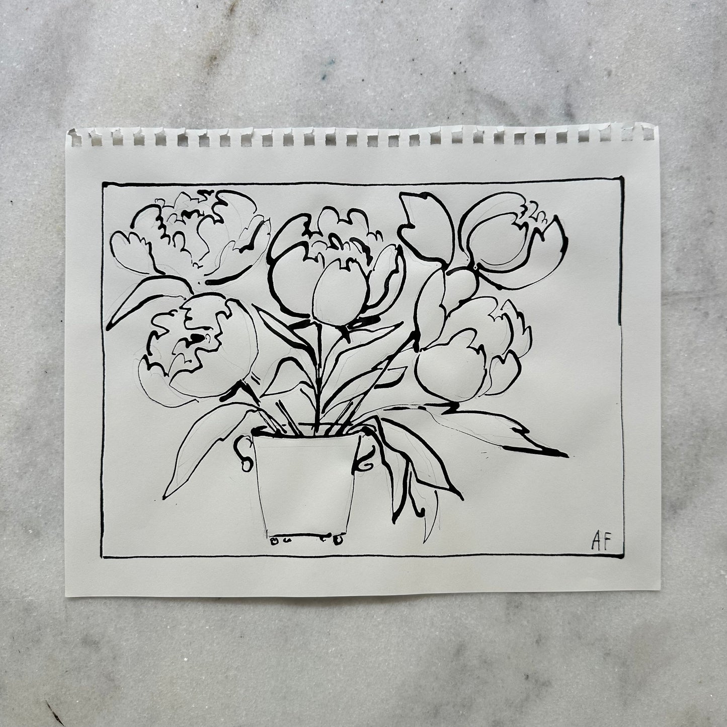 India Ink Peonies in Cache Pot (i)