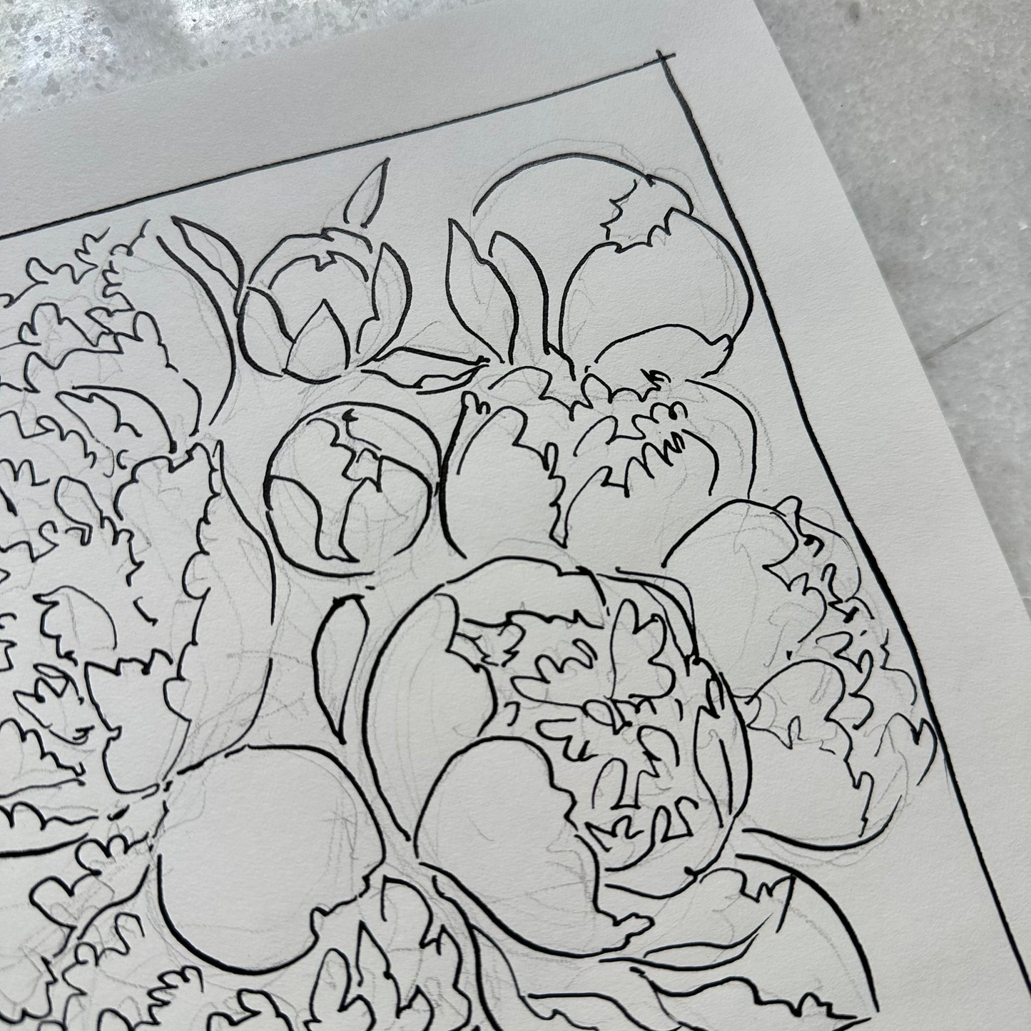 India Ink Peonies in Pedestal Vase