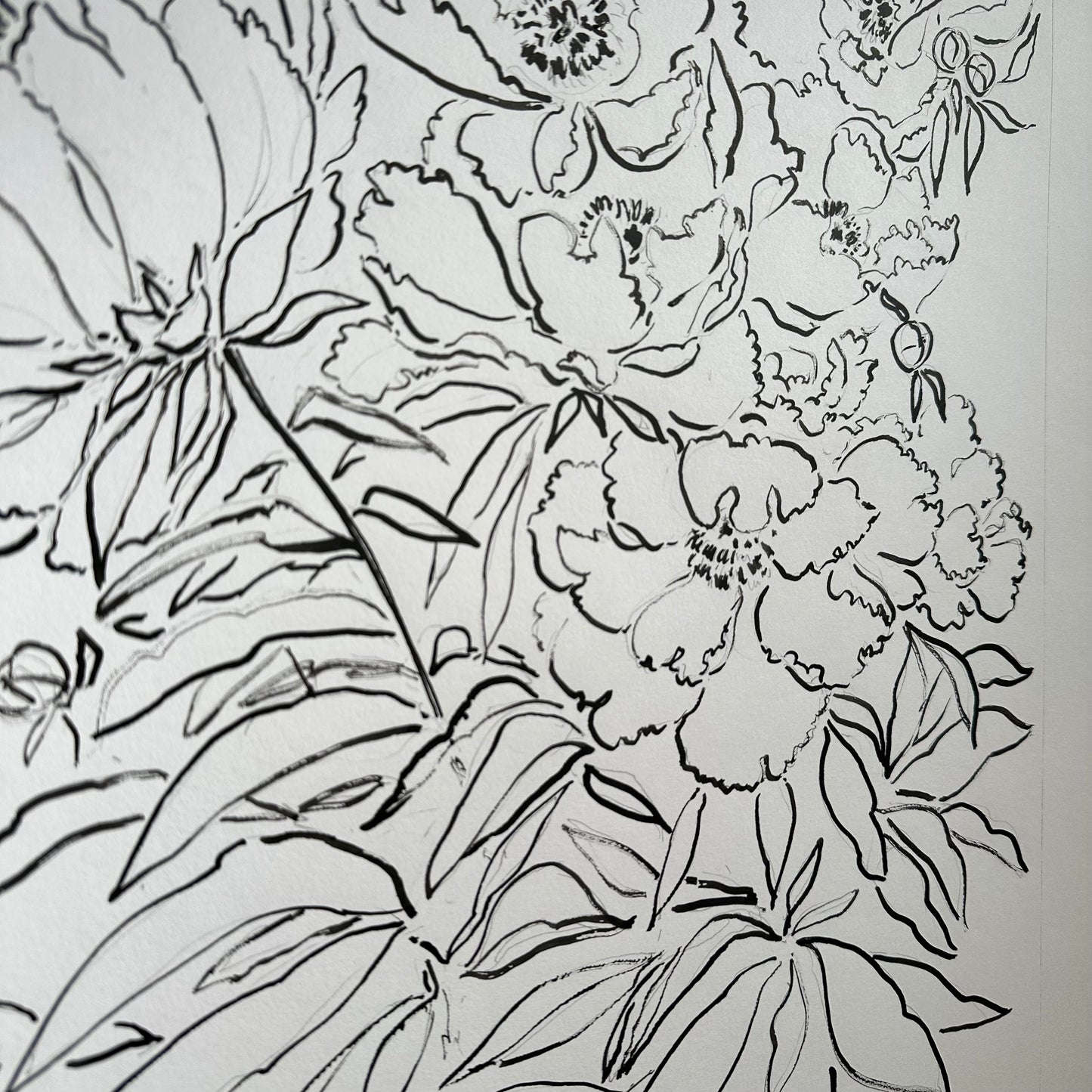 India Ink Peonies