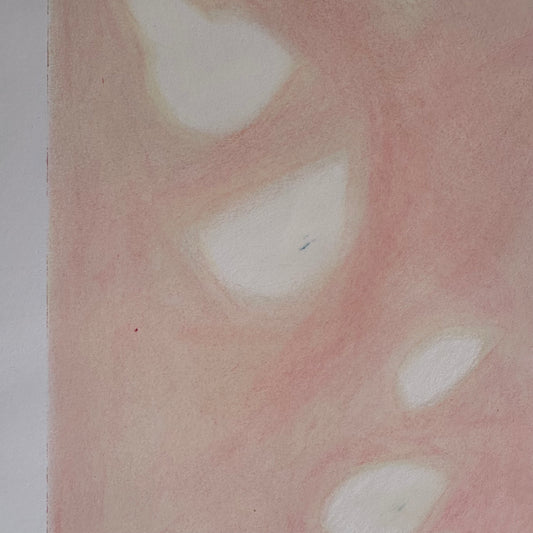 Pink Petals