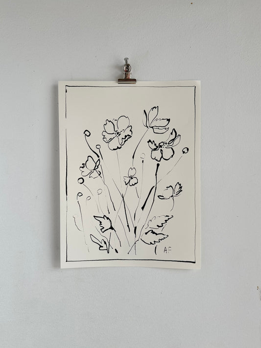 Cosmos ii